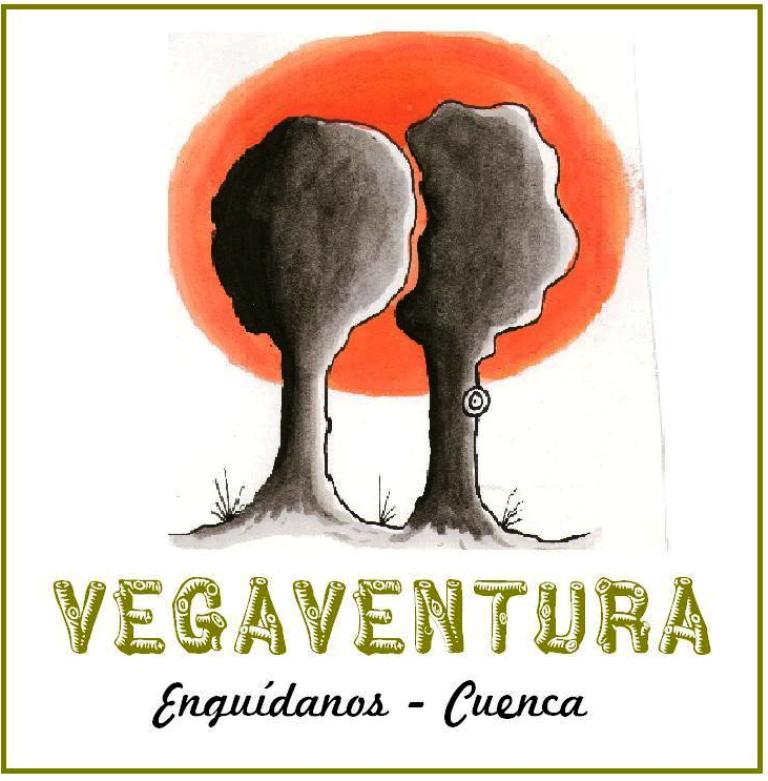 logotipo_vegaventura.jpg