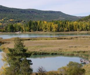 Laguna de Salicor