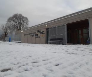 crv zorejas invierno