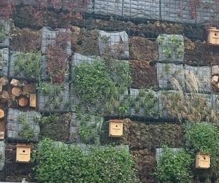 fachada viva mayo 2025