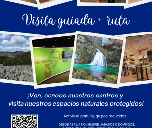 Visitas guiadas 2026