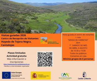 Visita guiada. Hayedo. 2026