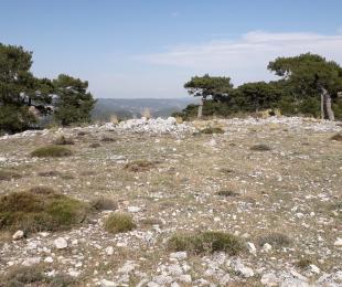 Calares_3
