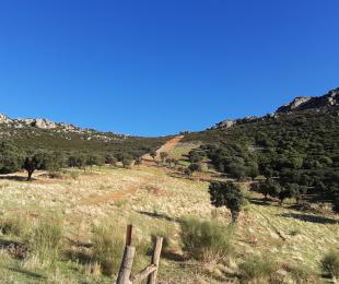 Panorámica chillón