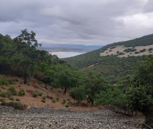Valdepalacios
