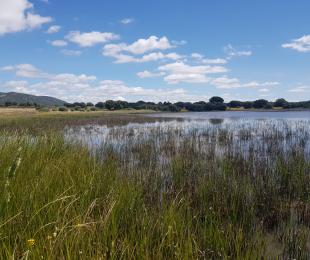 Laguna de Alcoba 4