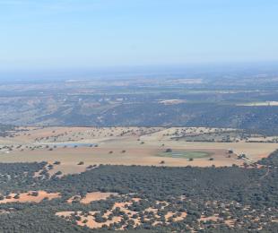 Lagunas Paniagüa