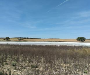 lagunas