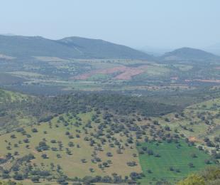 Zumajo-4