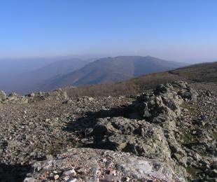 montes
