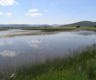 Paniagua 2