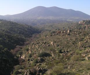 Berrocal
