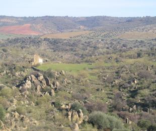 berrocal