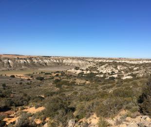 Arroyo cedron