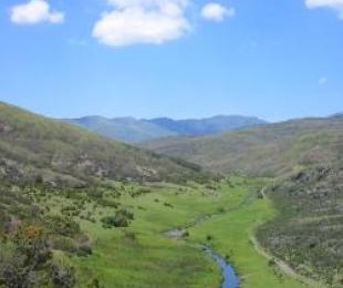 foto_ayllon2.jpg