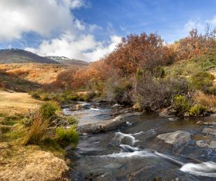 rio hayedo