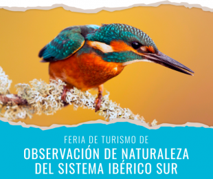 NaturTajo26