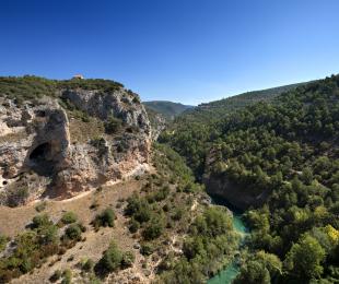 VENTANO