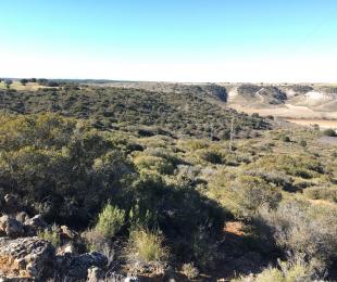 arroyo cedrón vista
