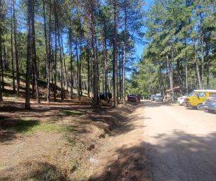pista