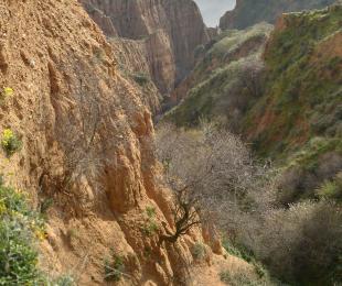 Panorámica de las Barrancas de Burujón desde la presa de Castrejón