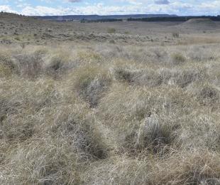 Panorámica del espacio protegido