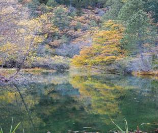 _mg_2495.jpg
