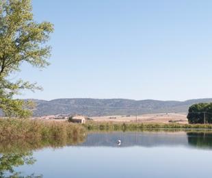 laguna_cedazos_0.jpg