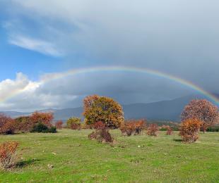 Arcoiris. Marta Romero Llot