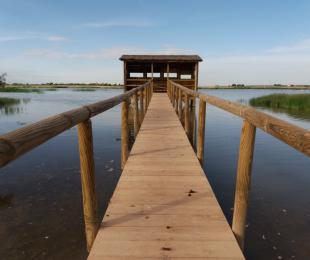 OBSERVANDO FAUNA. Jesus Gabriel Villalba Lara