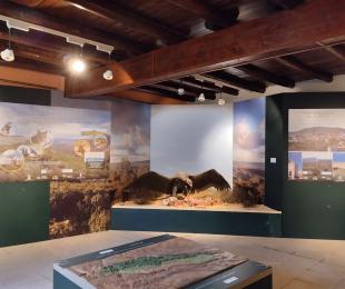 Exposición del Centro Cabezarrubias