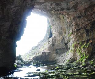 Vista desde la boca de la Cueva de los Chorros