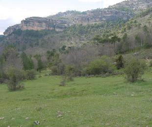 El Masegar de Huélamo