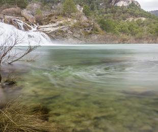 _mg_6486.jpg