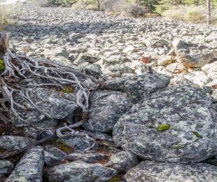_mg_6514-pano.jpg