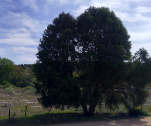 Central hidroeléctrica del Ossero.