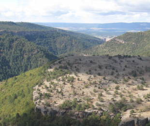 Paso del sendero entre los farallones de roca Paso del sendero entre los farallones de roca