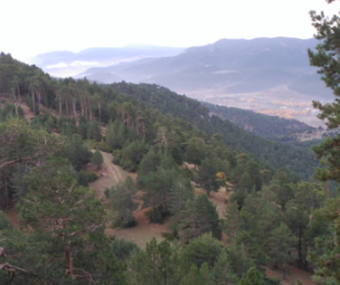 Panorámica desde el Cerro de San Felipe