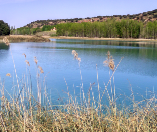 Nogueras del Ossero.