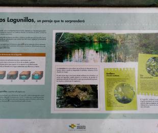 Sendero interpretativo Lagunillos