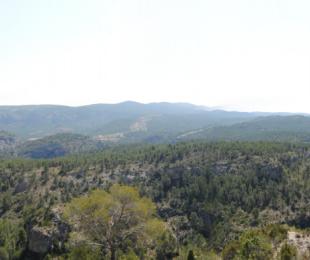 Vista desde el Puntal de las Palomas