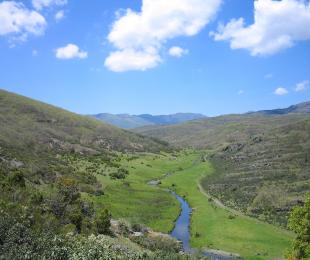 hayedo_046.jpg