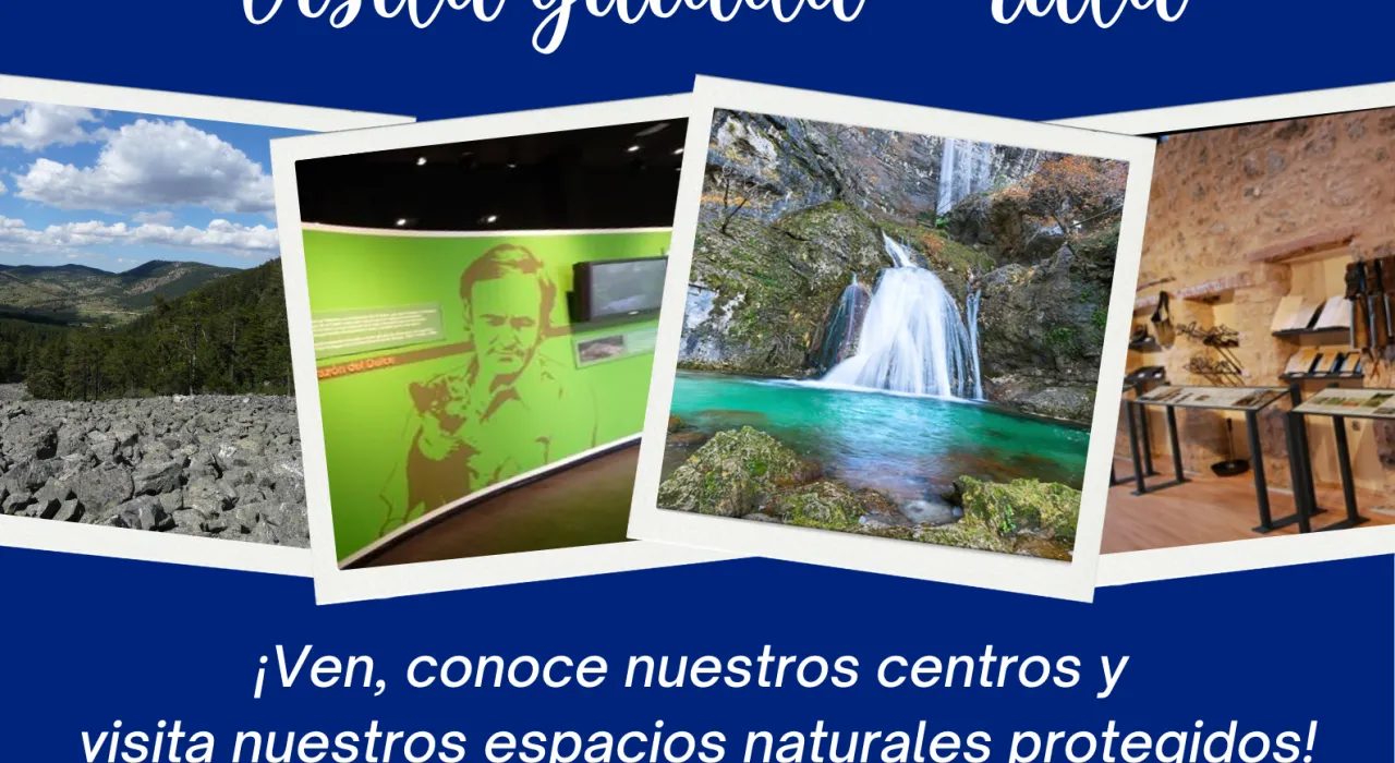 Visitas guiadas 2026