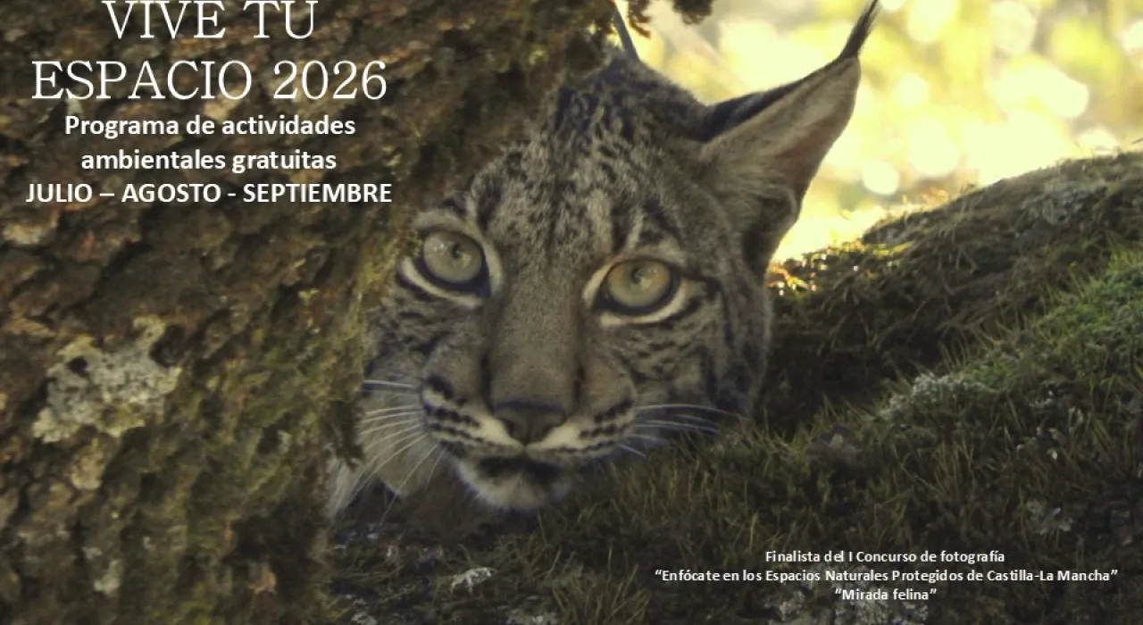 Portada Actividades