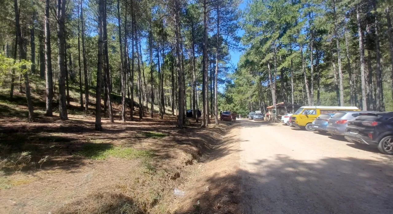 pista