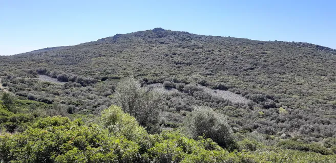 Sierra de Picón