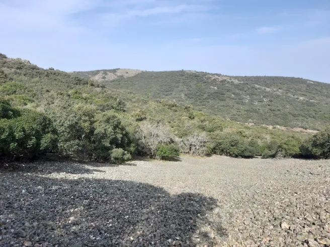 Pedrizas canalizos
