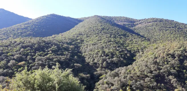 Vista 2