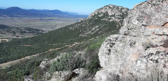vista chillón