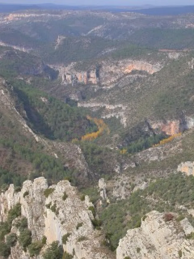 Alto Tajo